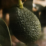 Vitamin C Serum-3